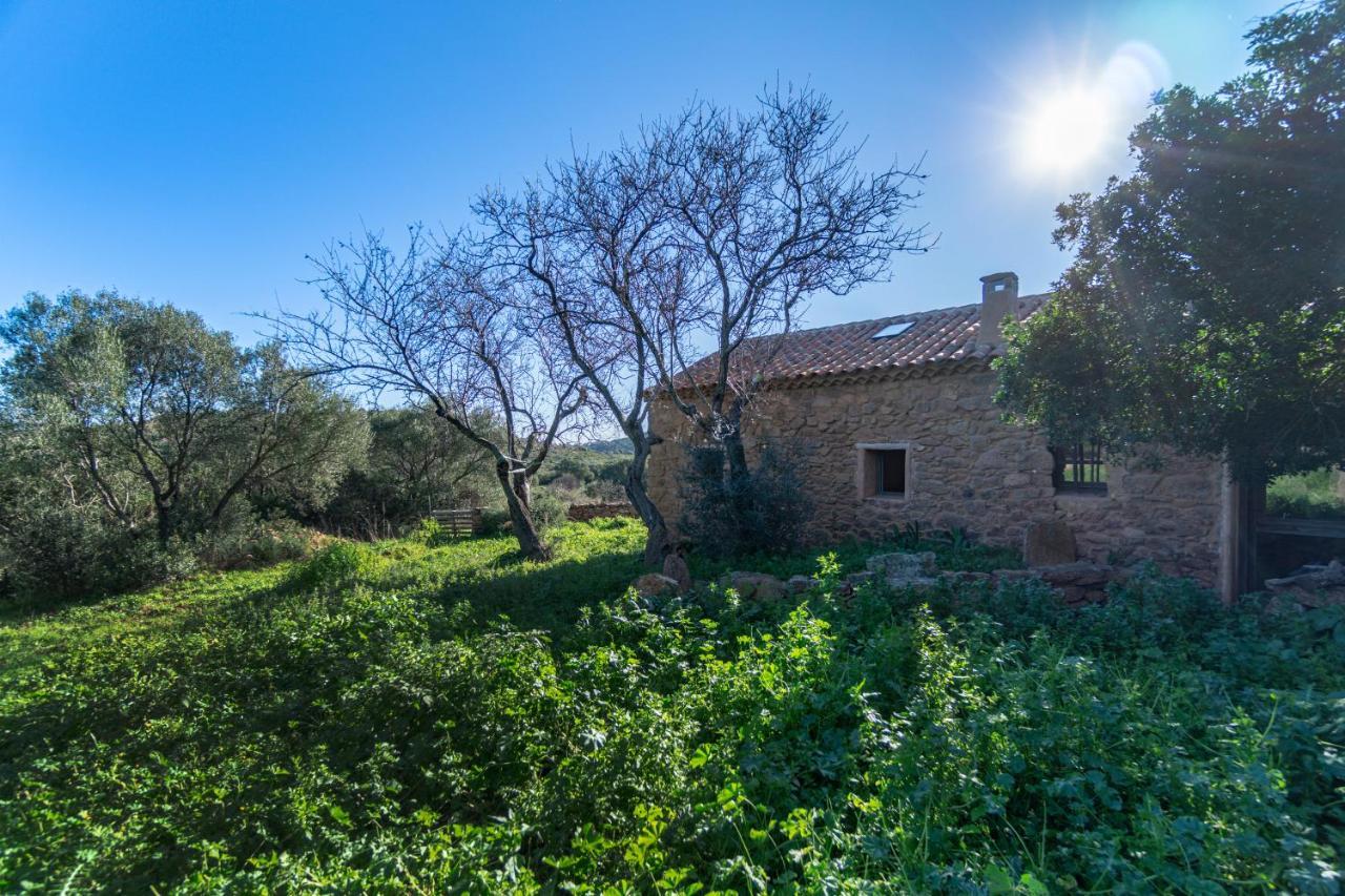 Le Case Di Mara - Appartamenti Tipici "Stazzo Giovannareddu" Porto San Paolo  Zewnętrze zdjęcie